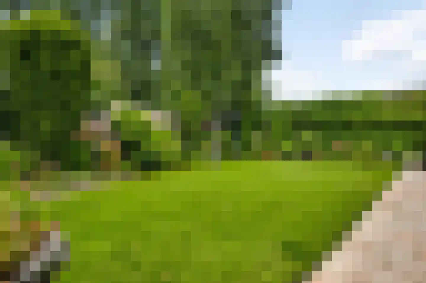 Burgemeester Wittestraat 10 Eindhoven thumbnail 30