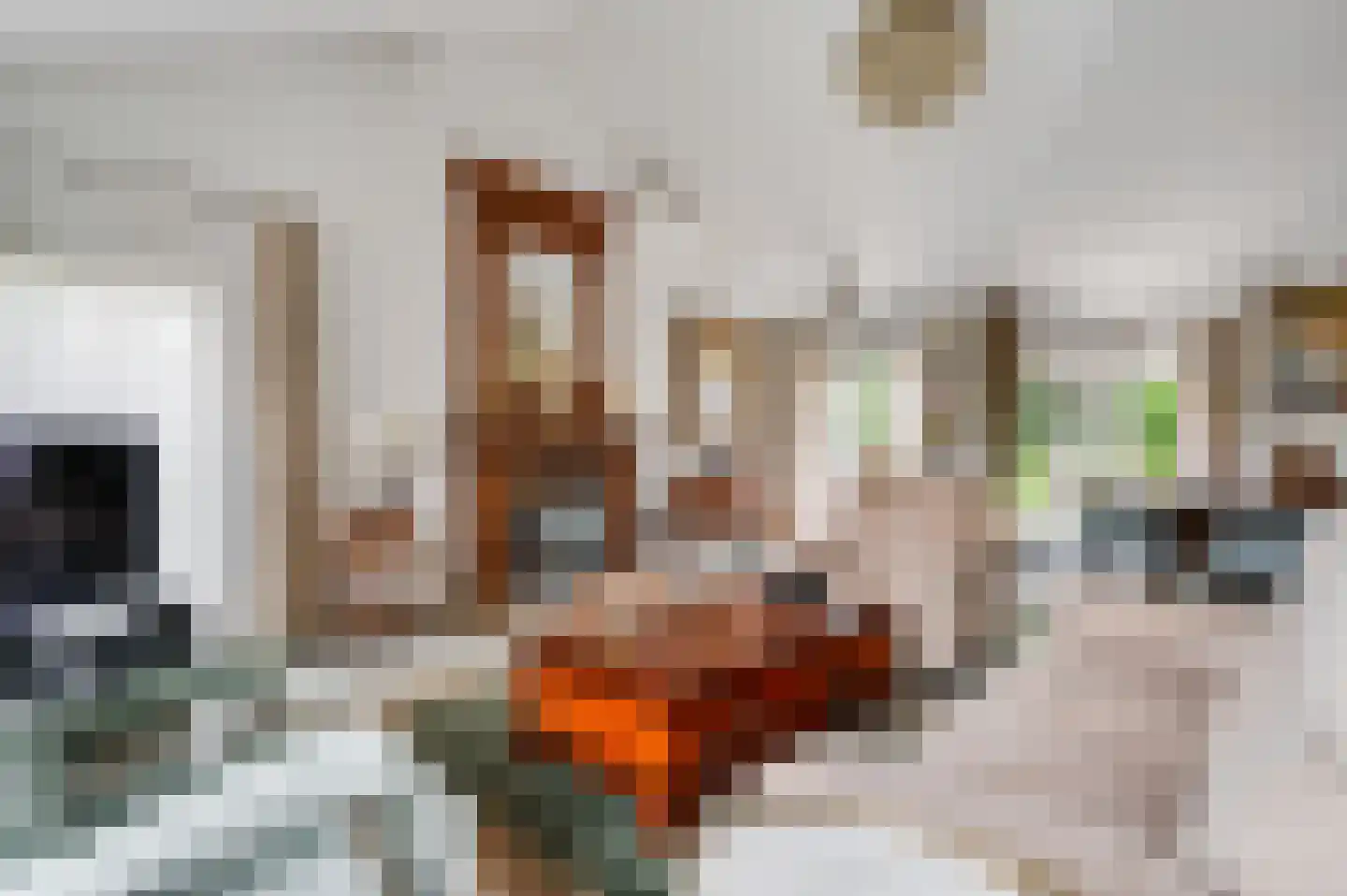 Burgemeester Wittestraat 10 Eindhoven thumbnail 9