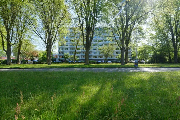 Burgemeester Wuiteweg 249 in Drachten