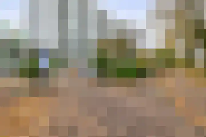 Burgemeester Wuiteweg 259 Drachten thumbnail 31