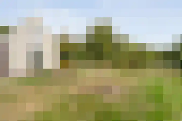 Burgemeester Wynoldyweg 10 Frederiksoord thumbnail 17