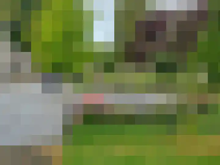 Burgemeester Wynoldyweg 10 Frederiksoord thumbnail 18