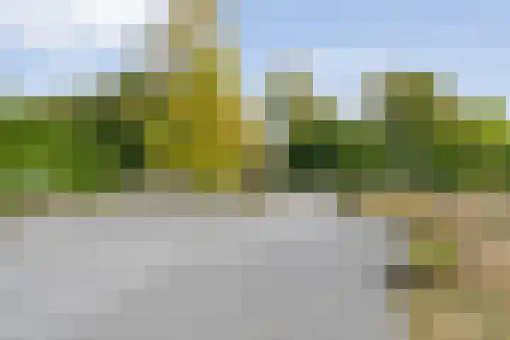 Burgemeester Wynoldyweg 10 Frederiksoord thumbnail 19