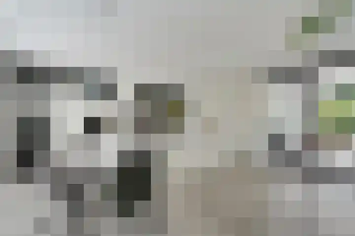 Burgemeester Wynoldyweg 10 Frederiksoord thumbnail 4