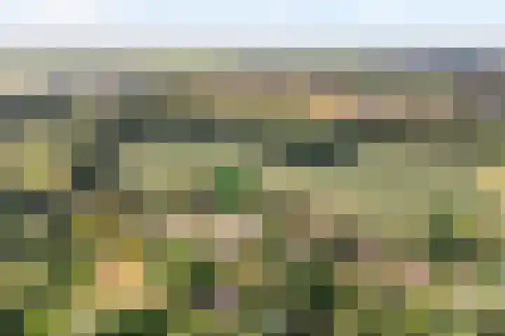 Burgemeester Wynoldyweg 10 Frederiksoord thumbnail 5