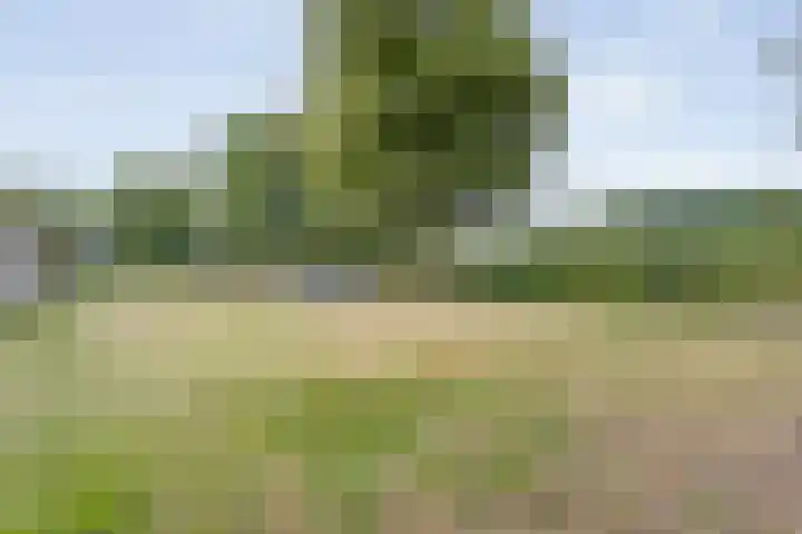 Burgemeester Wynoldyweg 10 Frederiksoord thumbnail 59