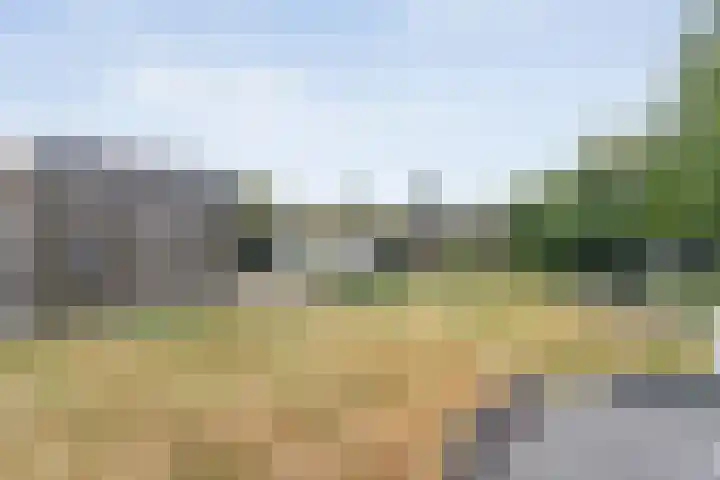 Burgemeester Wynoldyweg 10 Frederiksoord thumbnail 60