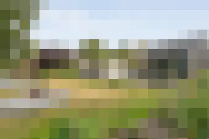 Burgemeester Wynoldyweg 10 Frederiksoord thumbnail 63