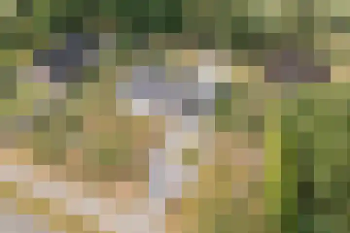 Burgemeester Wynoldyweg 10 Frederiksoord thumbnail 8