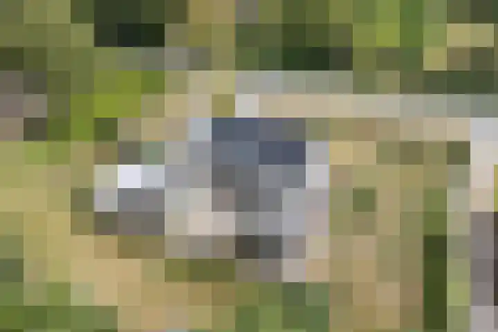 Burgemeester Wynoldyweg 10 Frederiksoord thumbnail 9