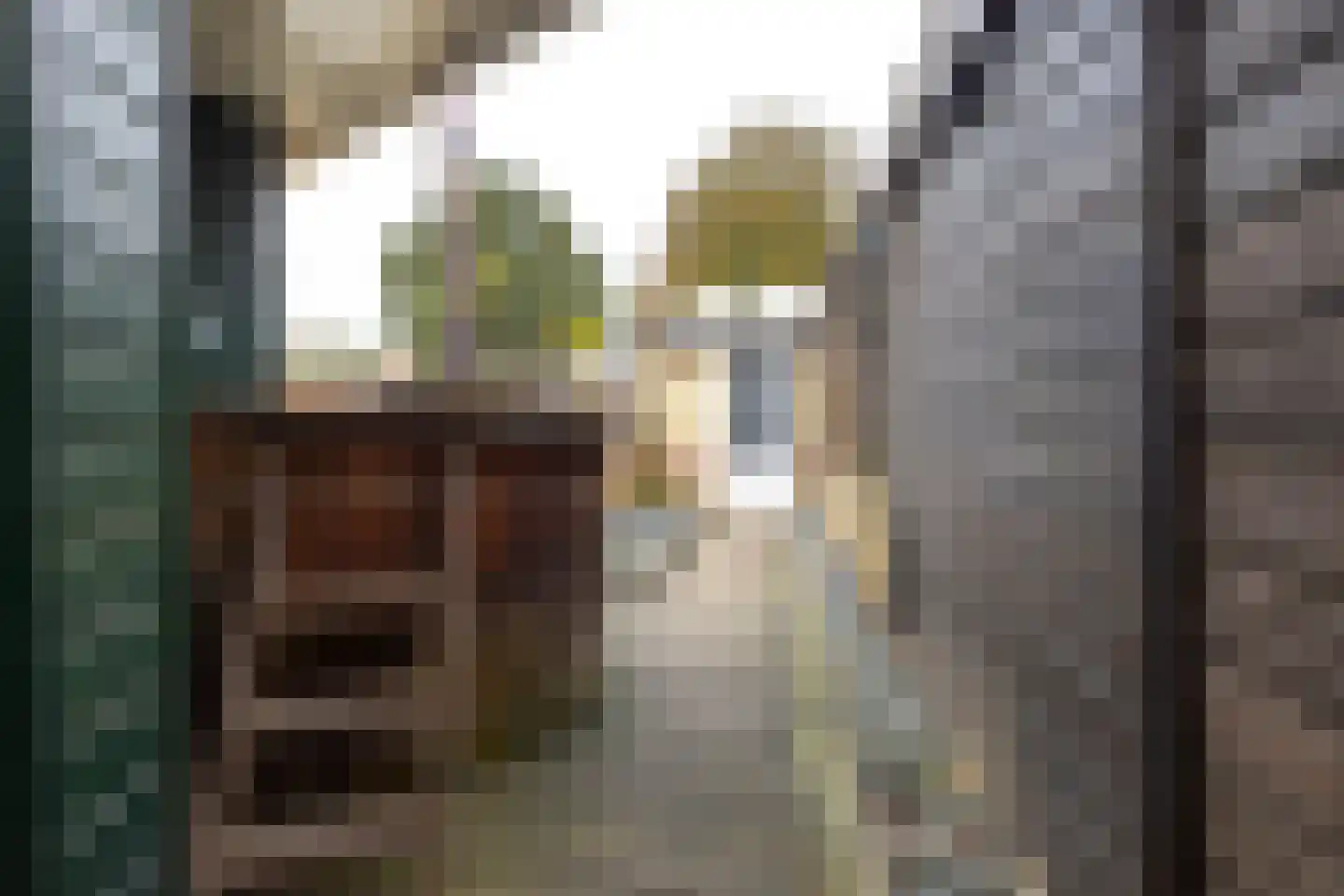 Burgemeester Ypeijstraat 20 Sliedrecht thumbnail 19