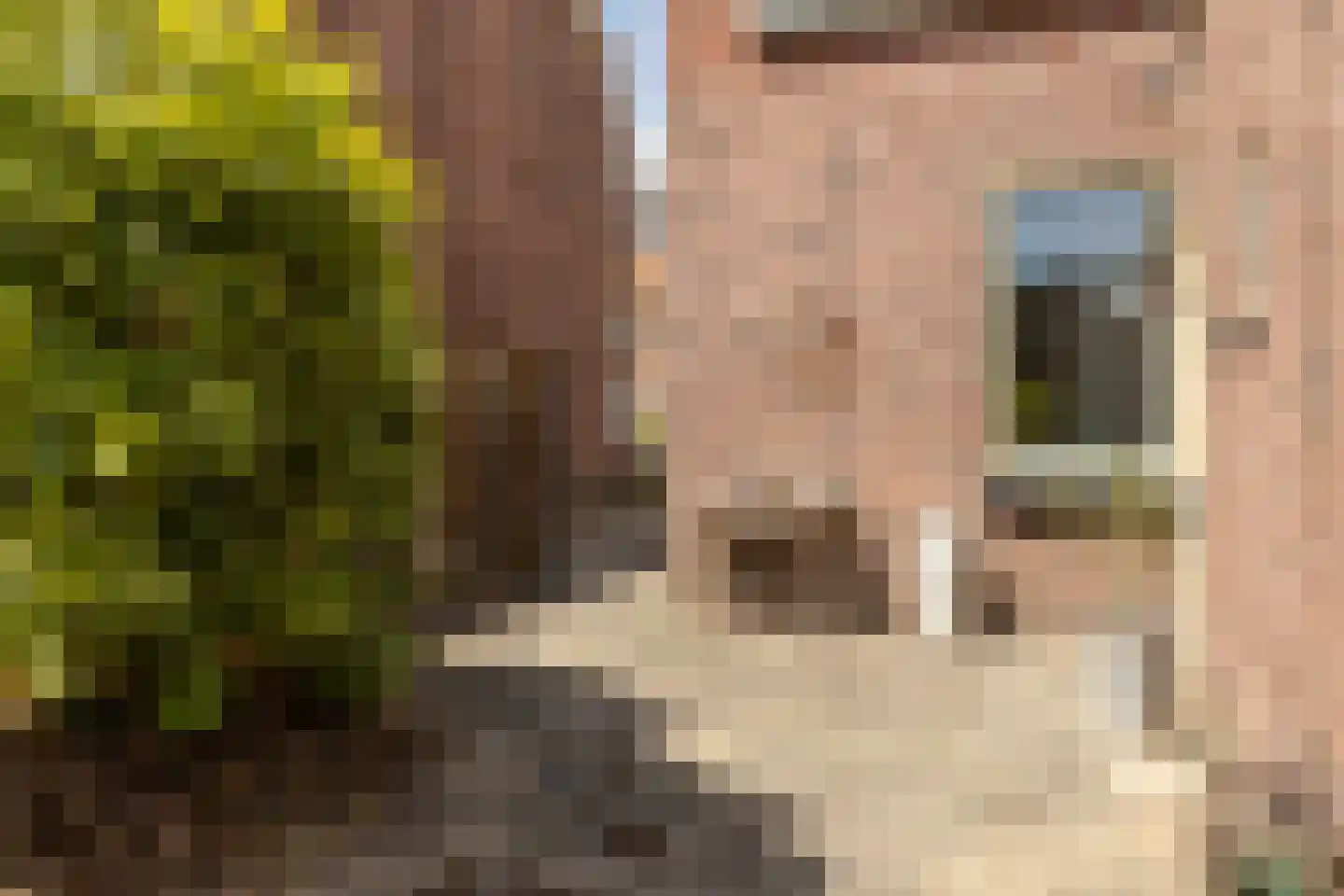 Burgemeester Zahnweg 27 Goudswaard thumbnail 40