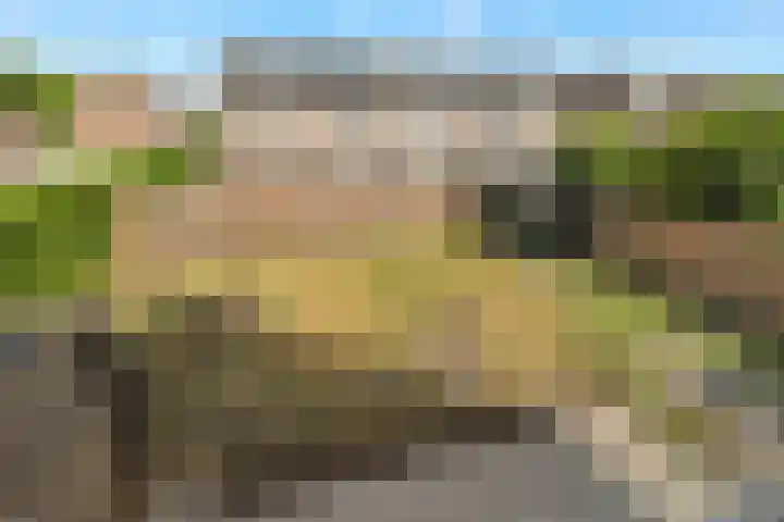 Burgemeester Zwaansweg 1 Vlijmen thumbnail 32