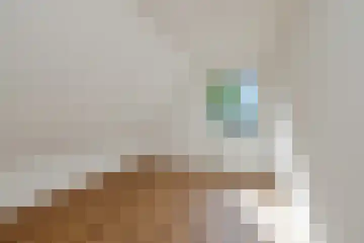 Burgemeester Zwaansweg 1 Vlijmen thumbnail 35