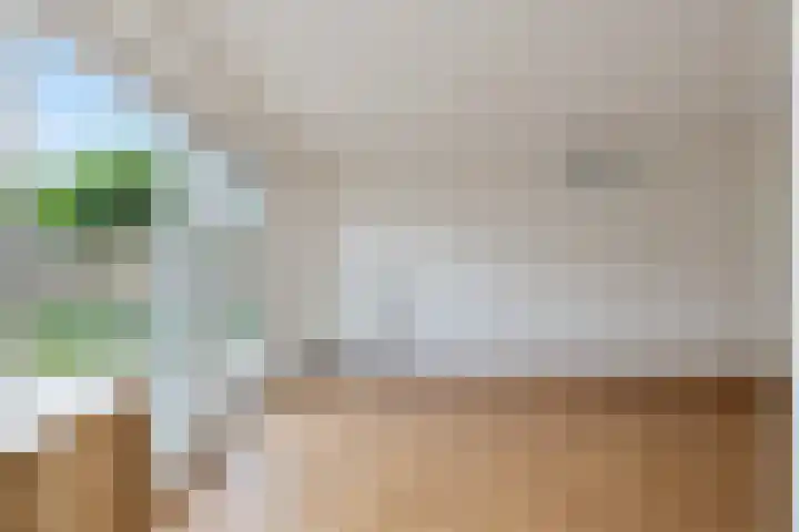 Burgemeester Zwaansweg 1 Vlijmen thumbnail 8