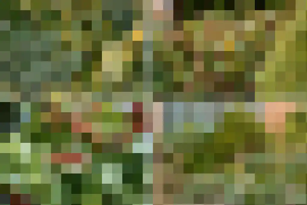 Burgemeesters Commandeurlaan 10 Wognum thumbnail 33