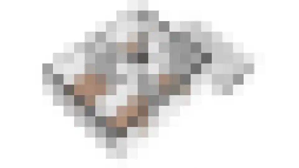 Burgemeesters Commandeurlaan 10 Wognum thumbnail 43