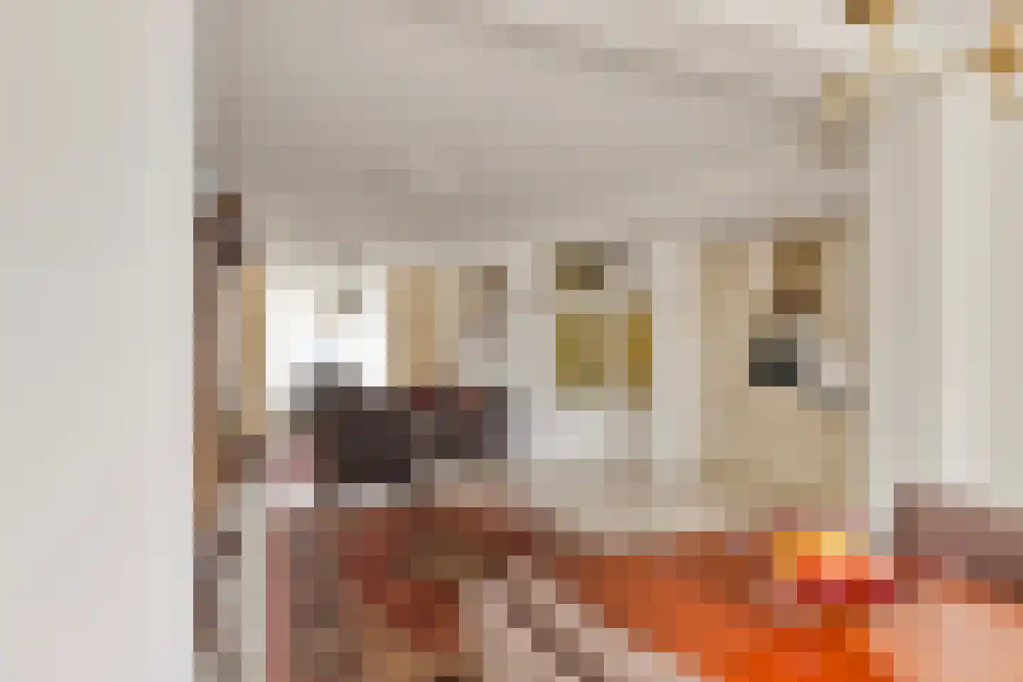 Burgemeesters Godschalxstraat 64 's-Hertogenbosch thumbnail 11