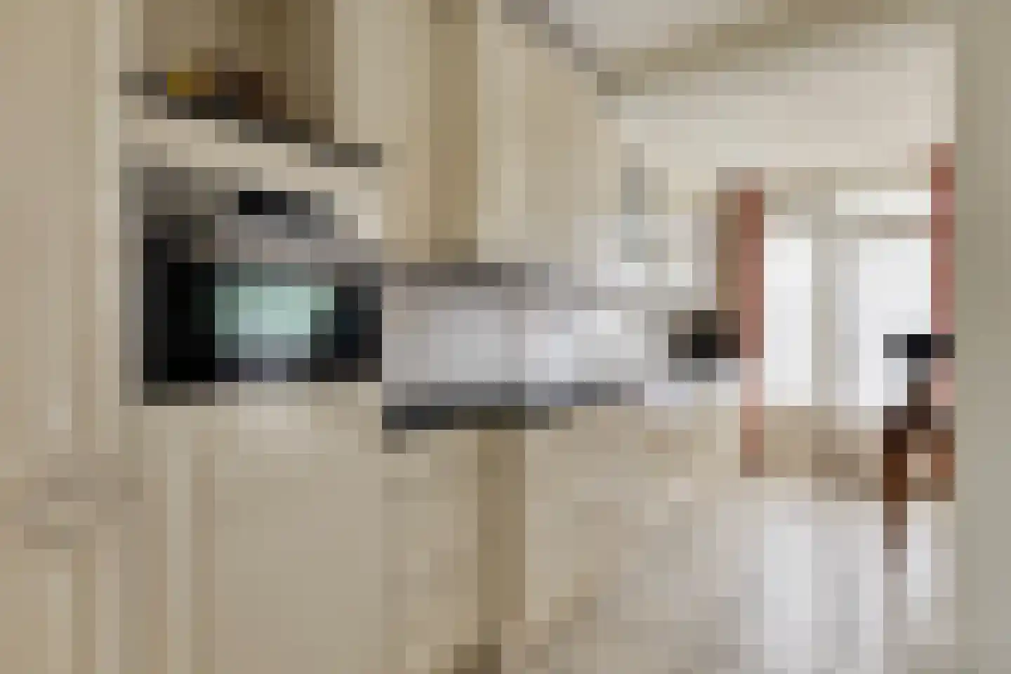 Burgemeesters Godschalxstraat 64 's-Hertogenbosch thumbnail 12