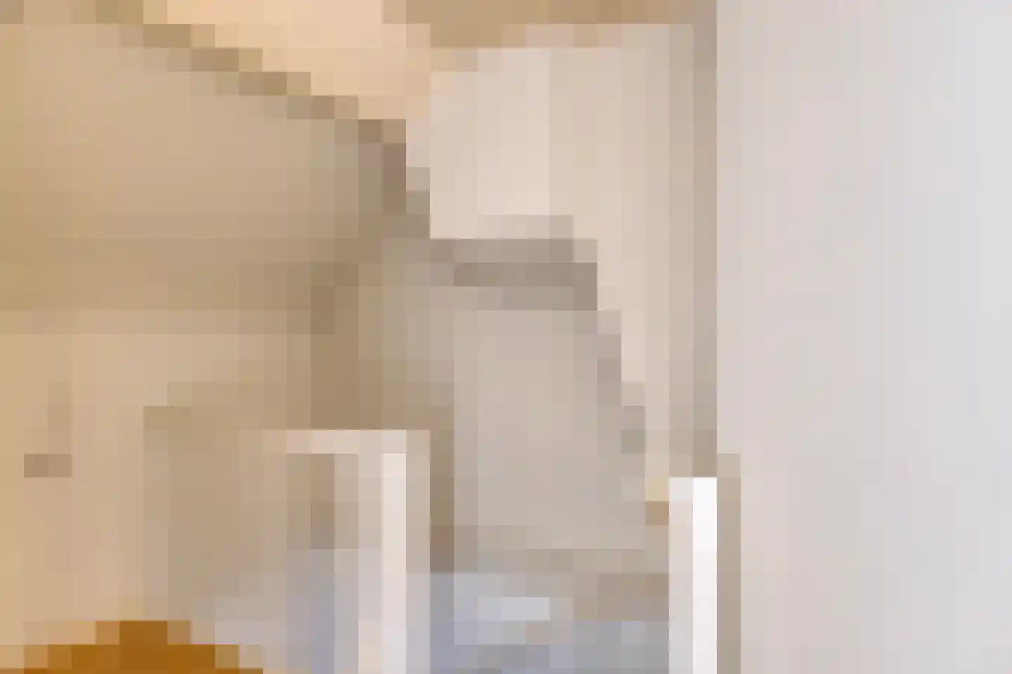 Burgemeesters Godschalxstraat 64 's-Hertogenbosch thumbnail 22