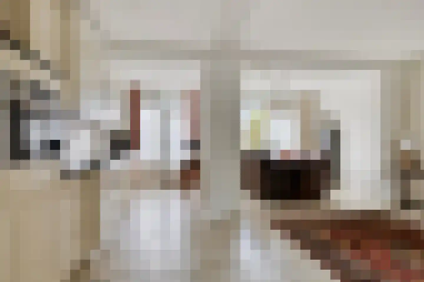 Burgemeesters Godschalxstraat 64 's-Hertogenbosch thumbnail 6