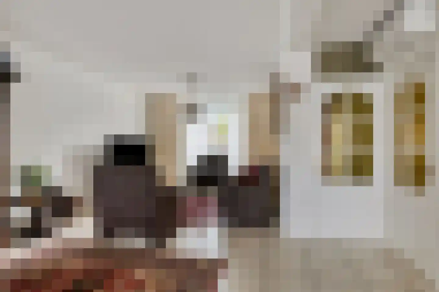 Burgemeesters Godschalxstraat 64 's-Hertogenbosch thumbnail 7