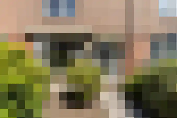 Burgemeesters Van Waningstraat 3 Ouderkerk aan den IJssel thumbnail 37