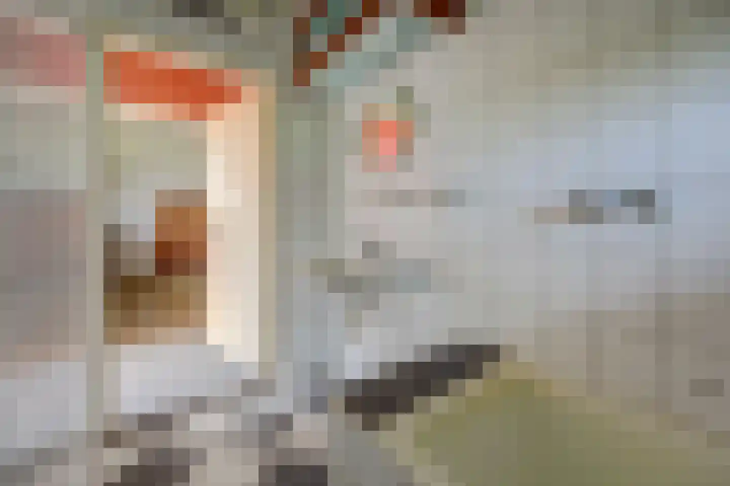 Burgemeestersdijk 12 Wierden thumbnail 12