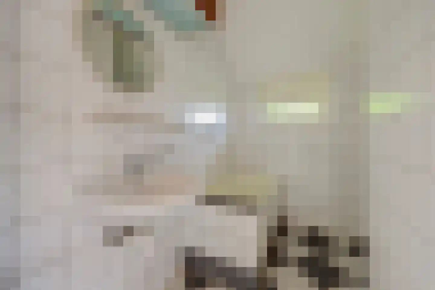 Burgemeestersdijk 12 Wierden thumbnail 13