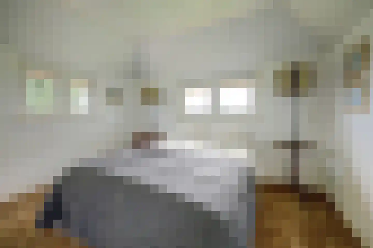 Burgemeestersdijk 12 Wierden thumbnail 28