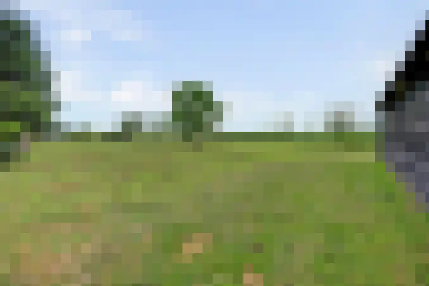 Burgemeestersdijk 12 Wierden thumbnail 31