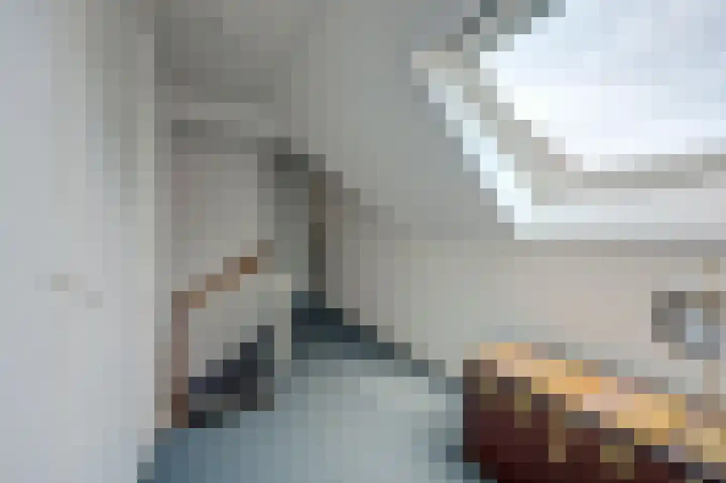 Burgemeestersdijk 12 Wierden thumbnail 32