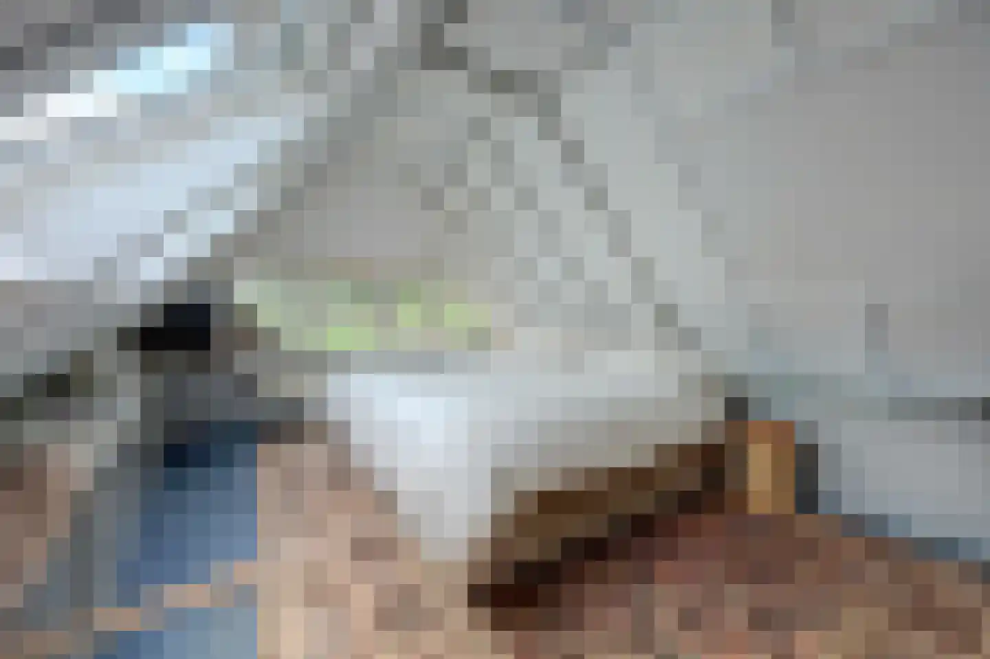 Burgemeestersdijk 12 Wierden thumbnail 33