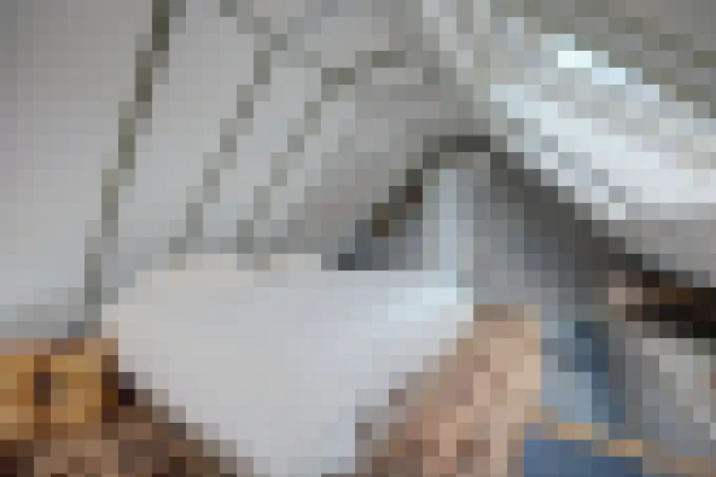 Burgemeestersdijk 12 Wierden thumbnail 34
