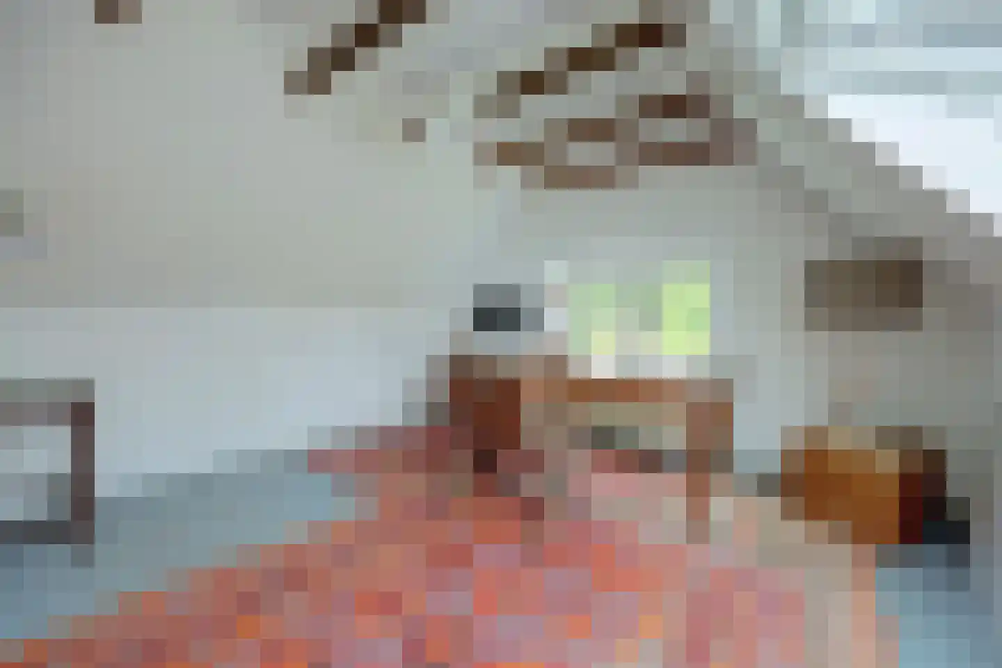 Burgemeestersdijk 12 Wierden thumbnail 38
