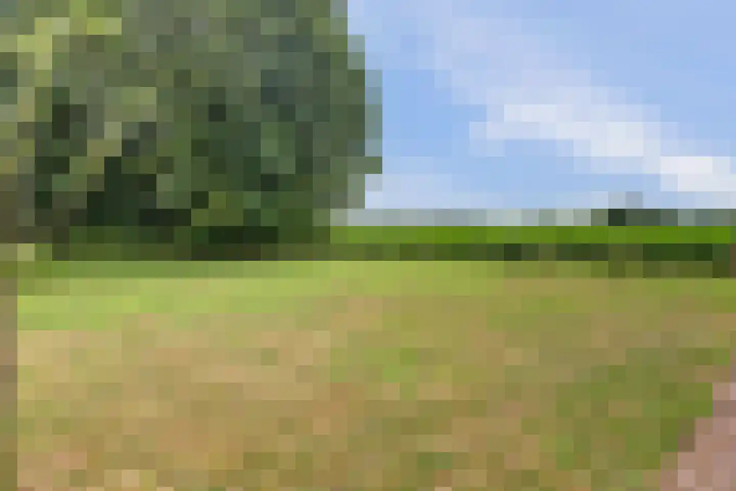 Burgemeestersdijk 12 Wierden thumbnail 42