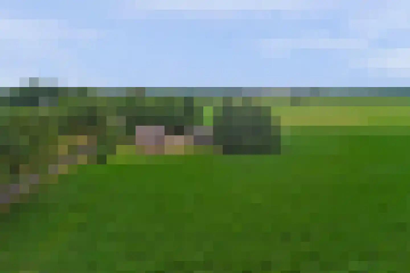Burgemeestersdijk 12 Wierden thumbnail 49