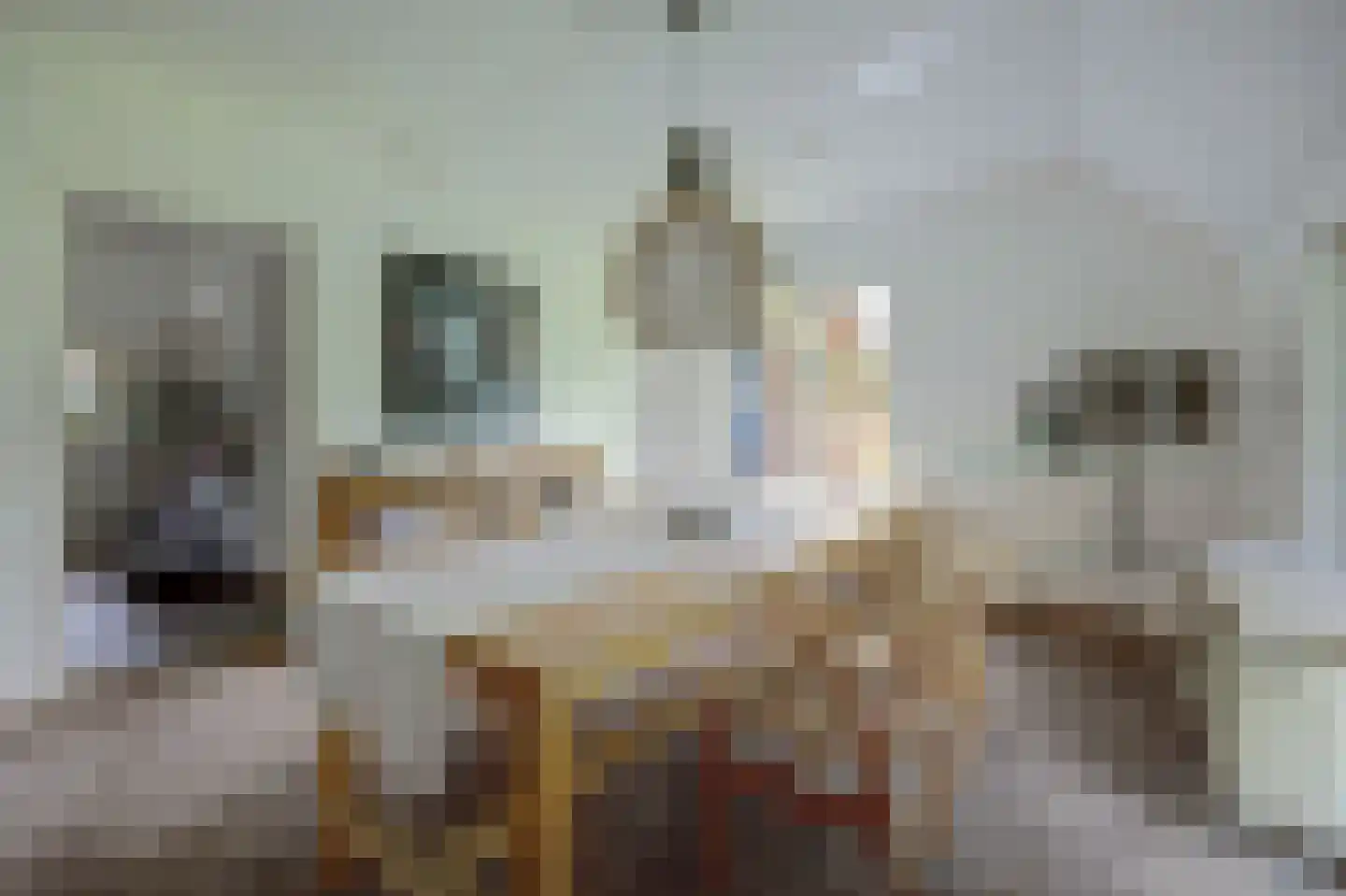 Burgemeestersdijk 12 Wierden thumbnail 5