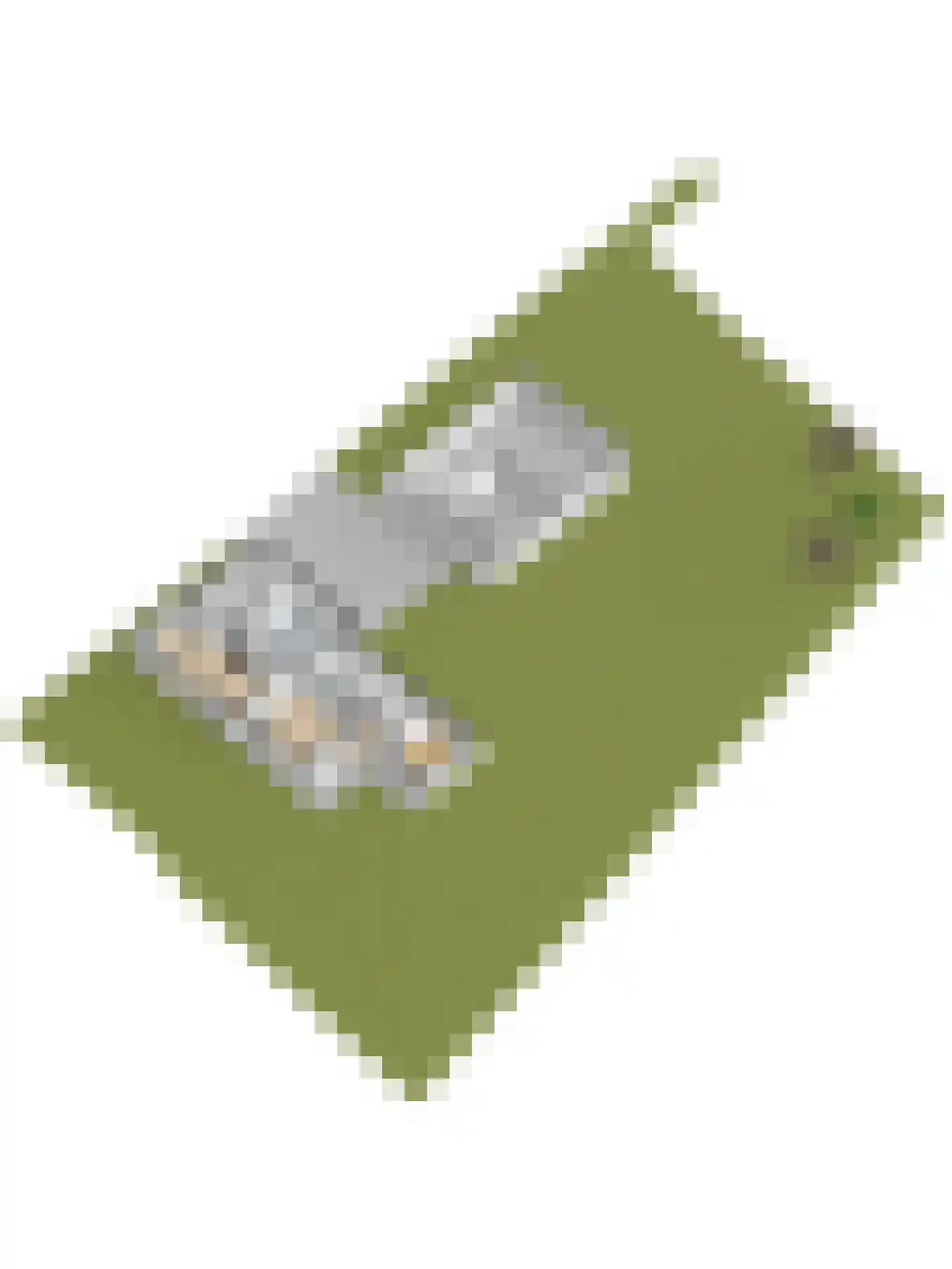 Burgemeestersdijk 12 Wierden thumbnail 53