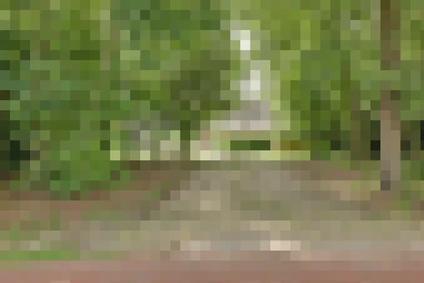 Burgemeestersdijk 12 Wierden thumbnail 6