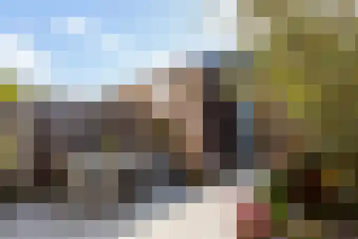 Burgemeestersplantsoen 10 Maassluis thumbnail 26