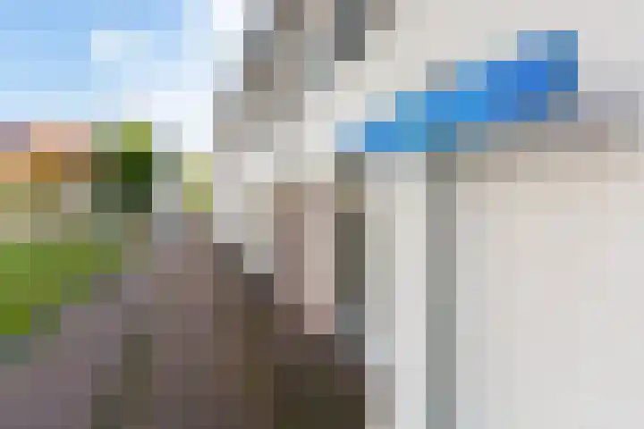 Burgemeestersplantsoen 10 Maassluis thumbnail 8