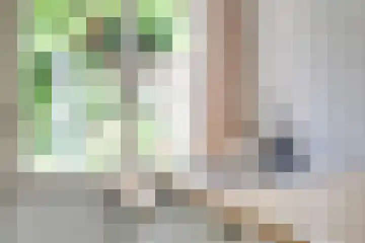 Burgemeestersplein 11 Arnhem thumbnail 11