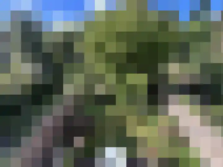 Burgemeestersplein 11 Arnhem thumbnail 14
