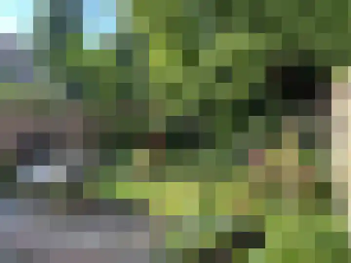 Burgemeestersplein 11 Arnhem thumbnail 15