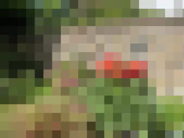Burgemeestersplein 11 Arnhem thumbnail 16