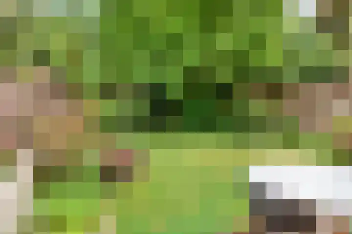 Burgemeestersplein 11 Arnhem thumbnail 17