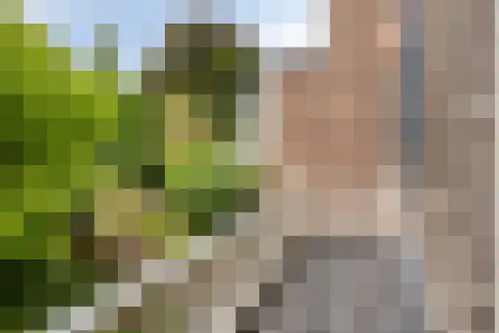 Burgemeestersplein 11 Arnhem thumbnail 25