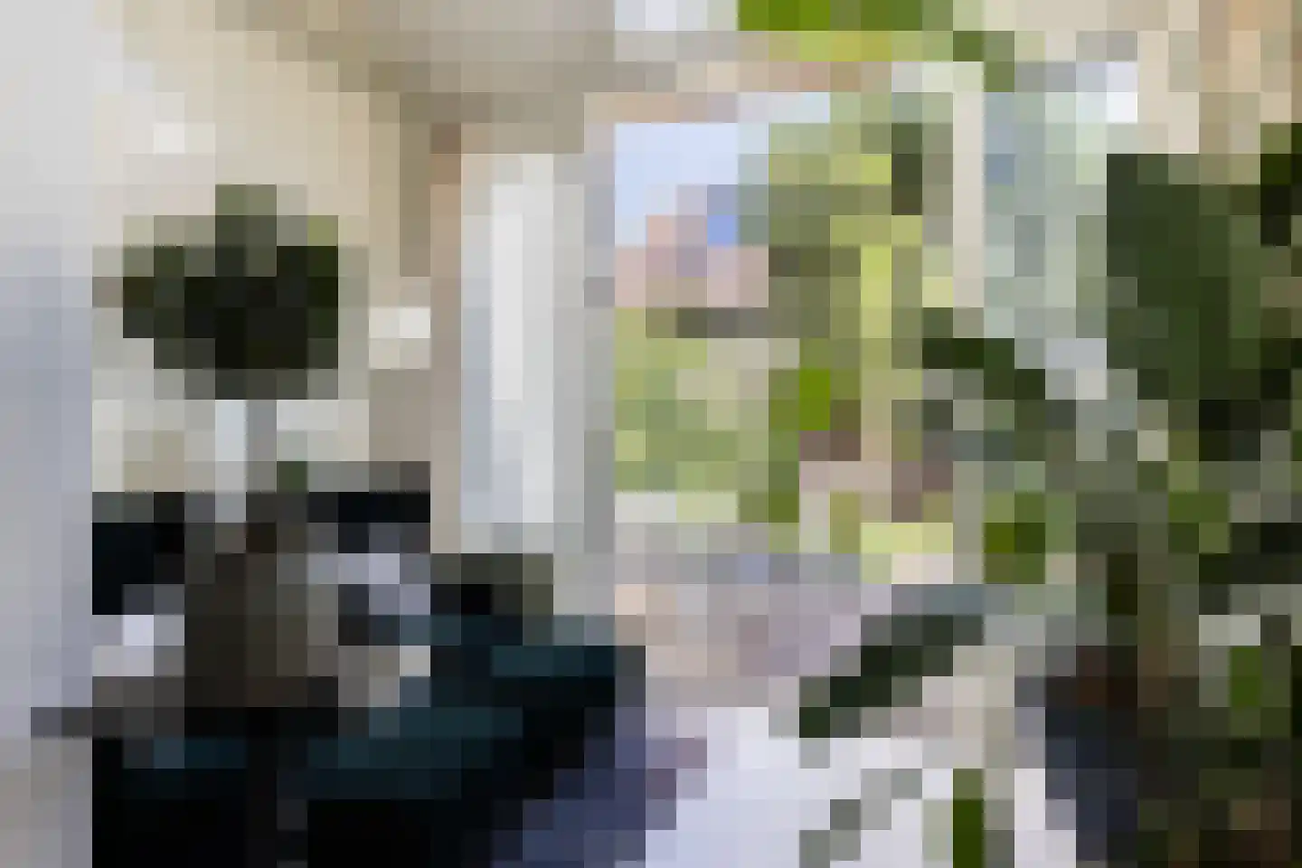 Burgemeestersplein 3 Arnhem thumbnail 27