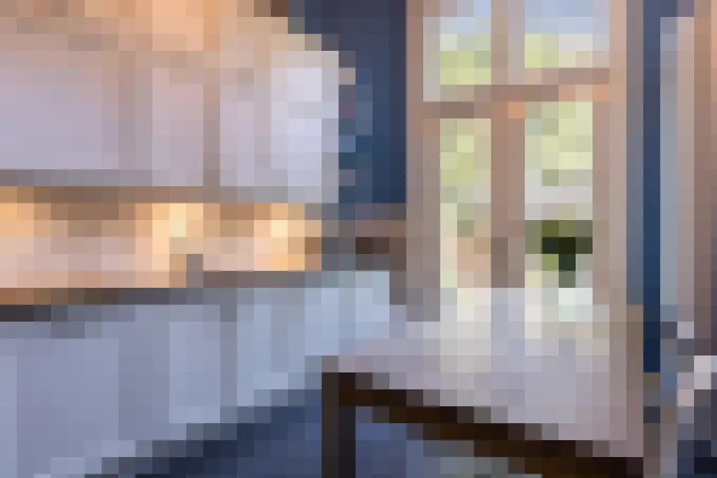 Burgemeestersplein 3 Arnhem thumbnail 35